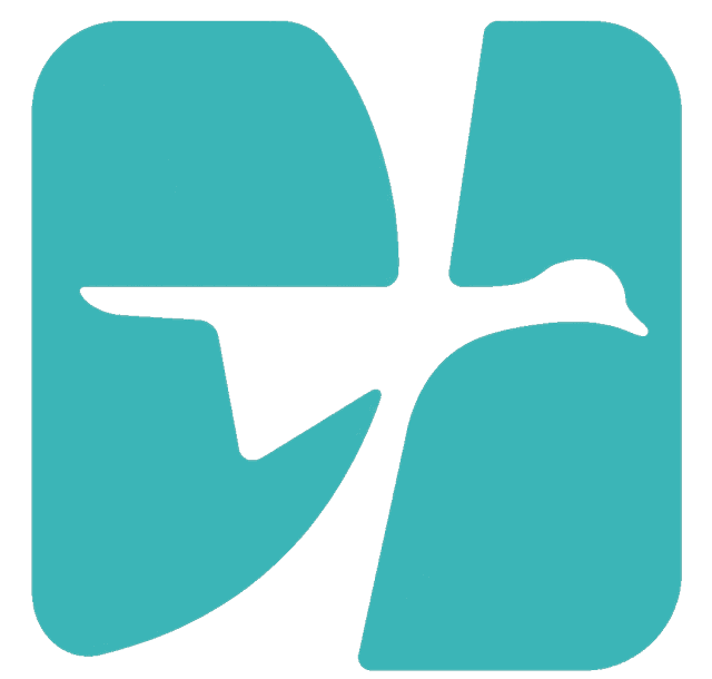 Saronic Ferries